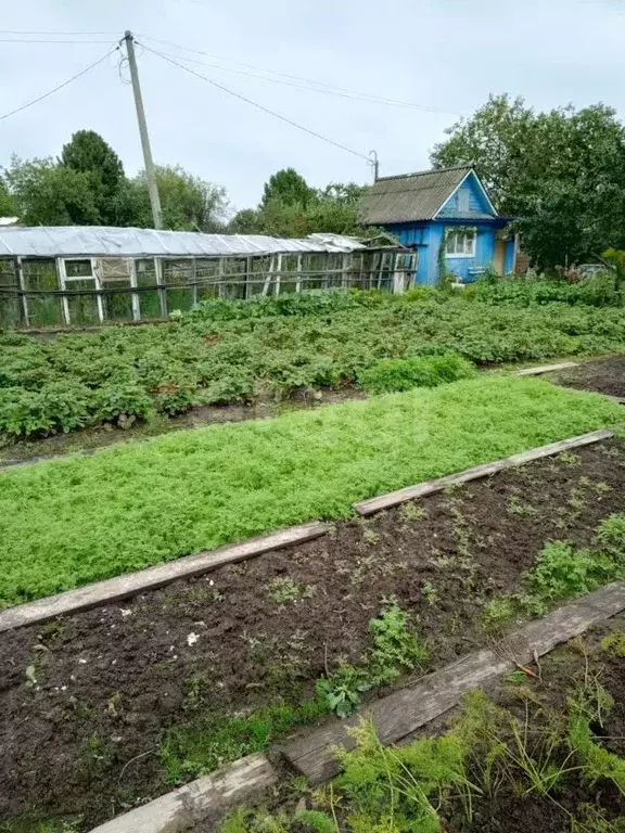 Участок в Марий Эл, Медведевский район, Сидоровское с/пос, Дружба СНТ, ... - Фото 1