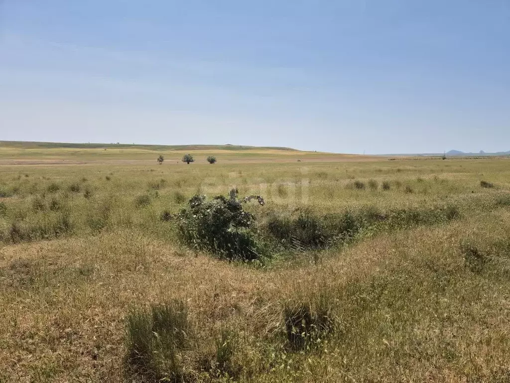 Участок в Крым, Кировский район, Журавское с/пос, с. Видное ул. ... - Фото 1