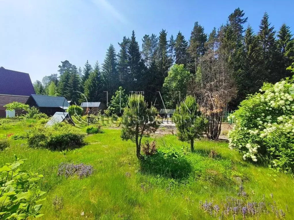 Участок в Ленинградская область, Выборгский район, Рощинское городское ... - Фото 2