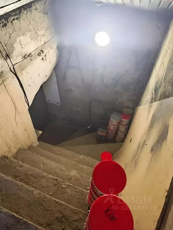 Помещение свободного назначения в Алтайский край, Барнаул просп. ... - Фото 2