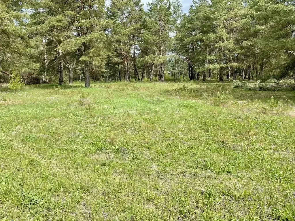 Участок в Калужская область, Дзержинский муниципальный округ, Дворцы ... - Фото 2