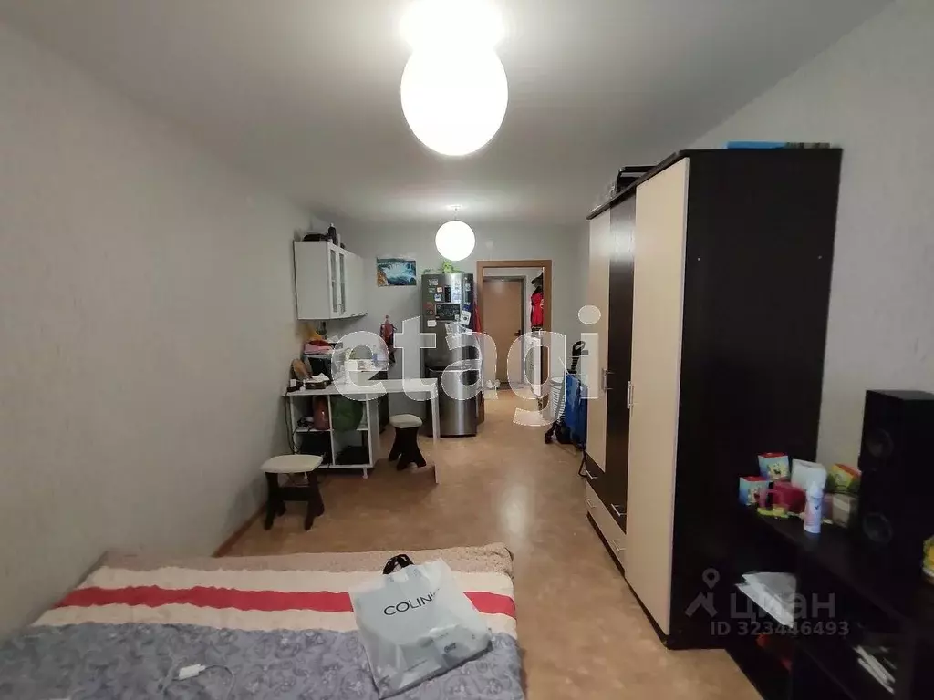 Студия Красноярский край, Красноярск ул. Карамзина, 6 (24.7 м) - Фото 1