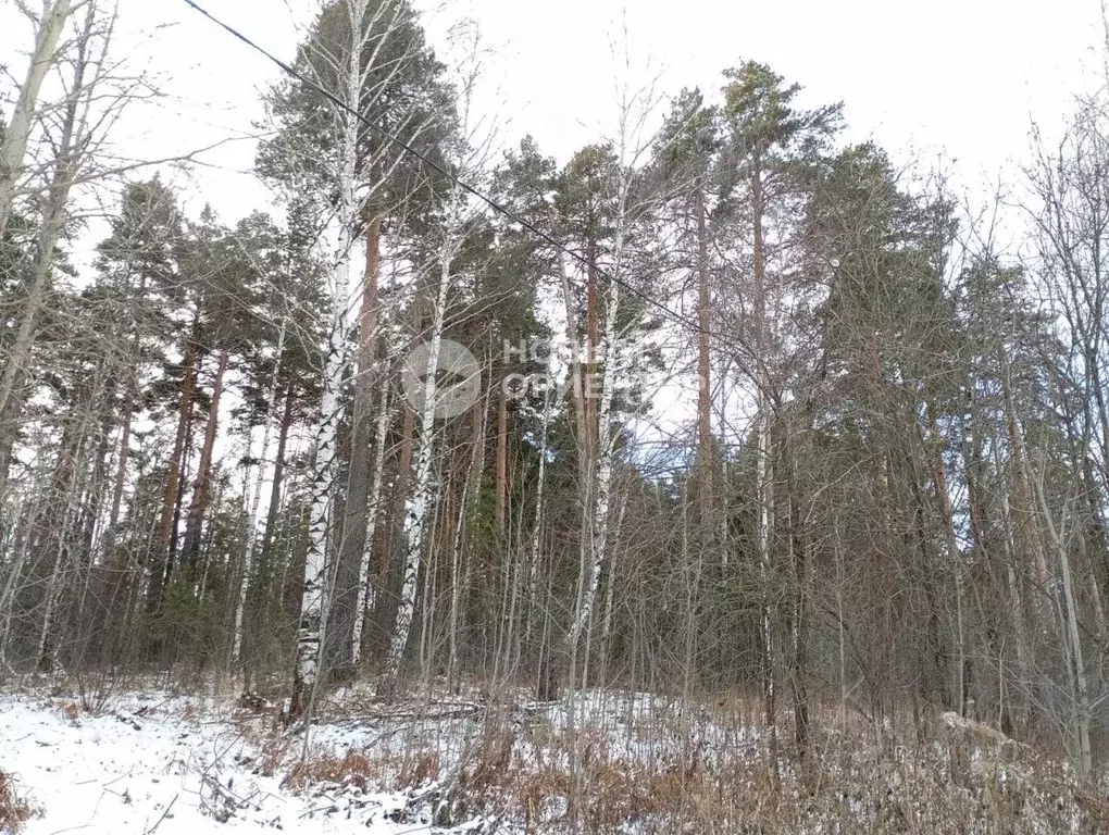 Участок в Свердловская область, Екатеринбург муниципальное ... - Фото 2