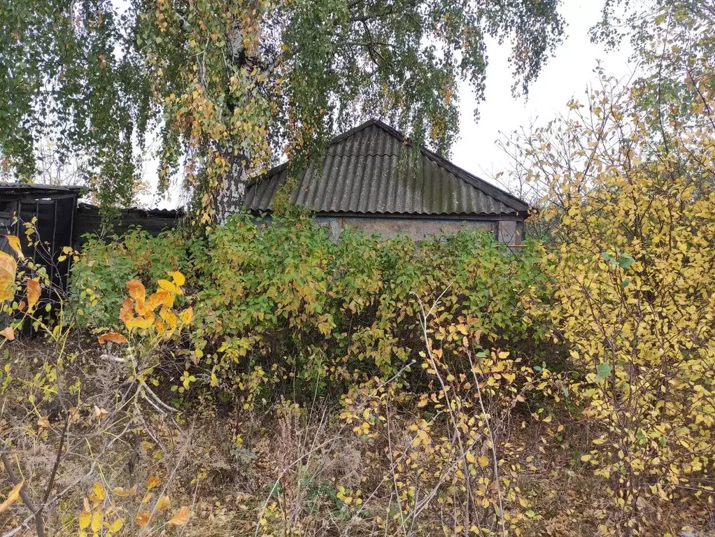 Дом в Воронежская область, Староведугское с/пос, с. Старая Ольшанка  ... - Фото 2