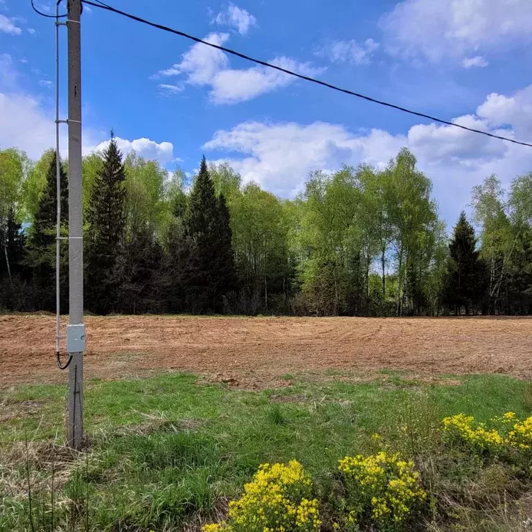Участок в Московская область, Клин городской округ, д. Борозда  (42.0 ... - Фото 1