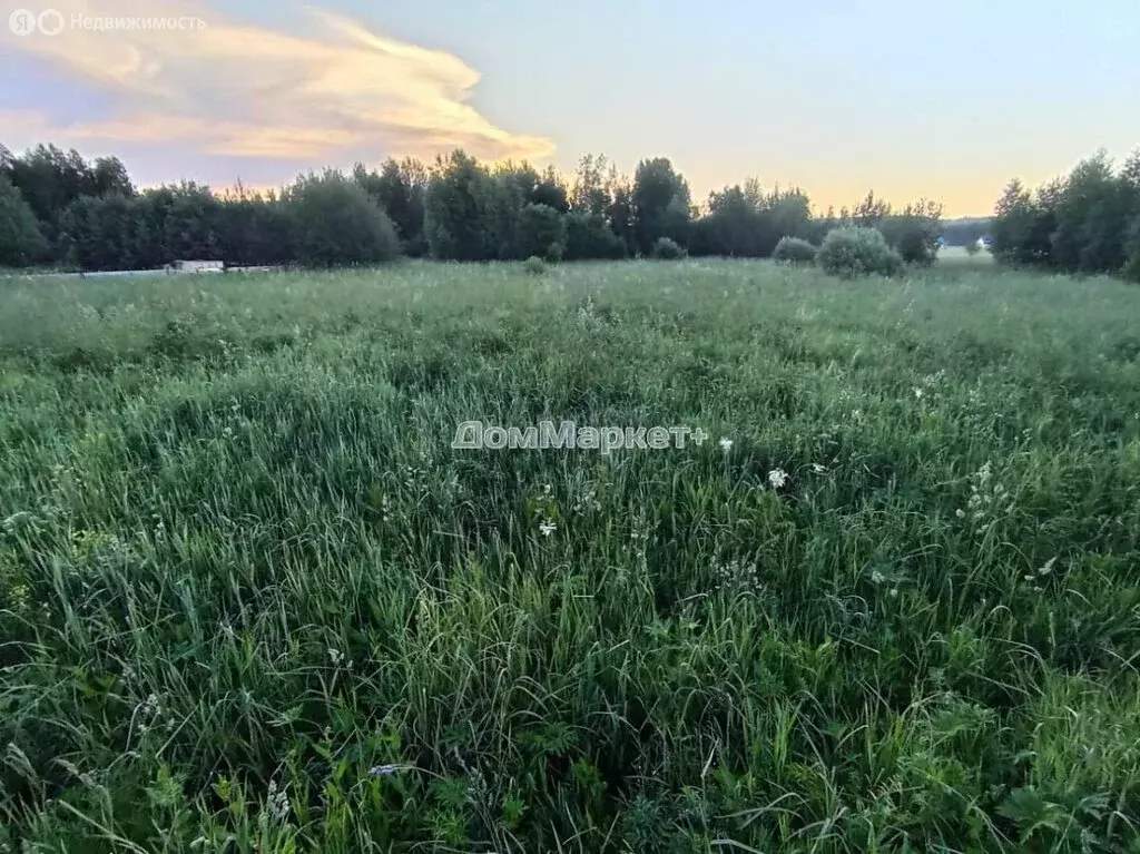 Участок в посёлок Берёзовка, Лесная улица (30 м) - Фото 1