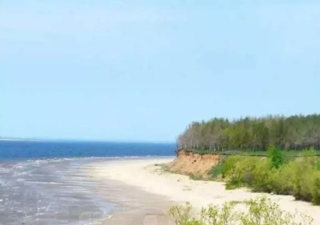 Участок в Самарская область, Ставропольский район, Верхние Белозерки ... - Фото 2