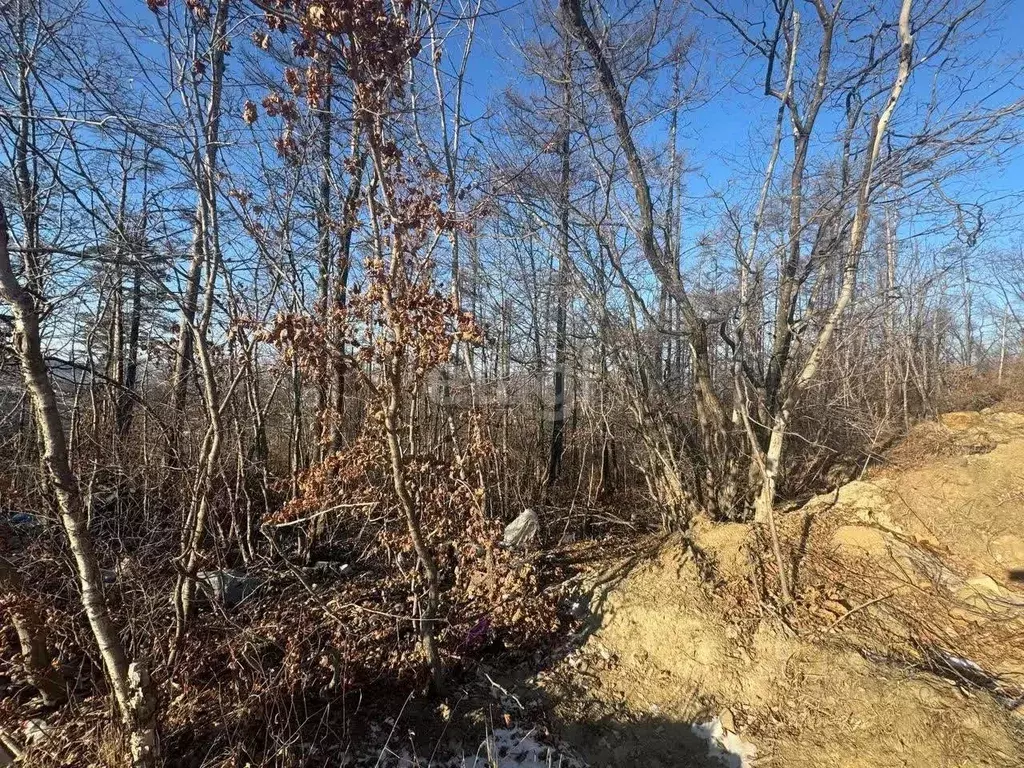 Участок в Приморский край, Владивостокский городской округ, пос. ... - Фото 1