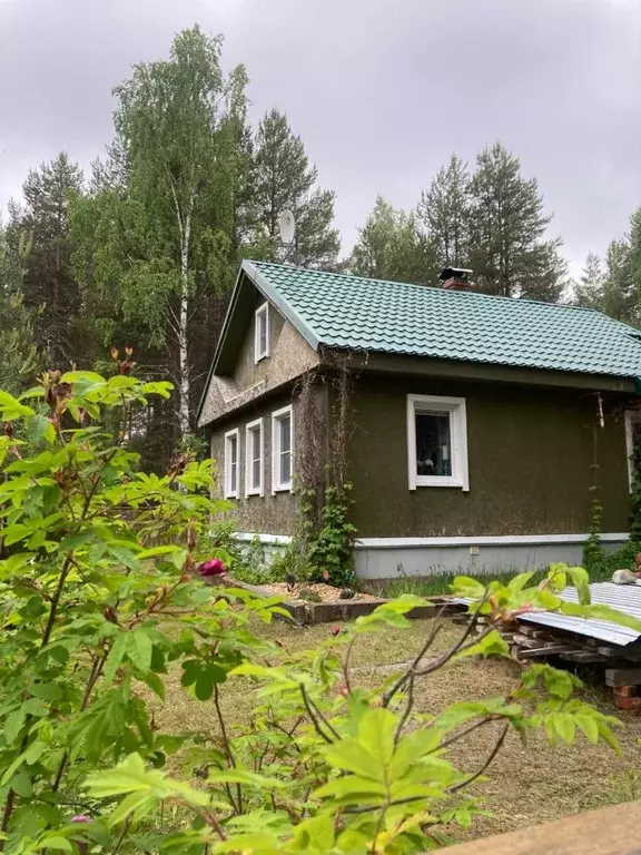 Дом в Мурманская область, Кандалакшский муниципальный округ, ... - Фото 1