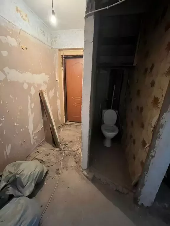 3-к кв. Ленинградская область, Сланцы ул. Ленина, 21 (54.0 м) - Фото 1