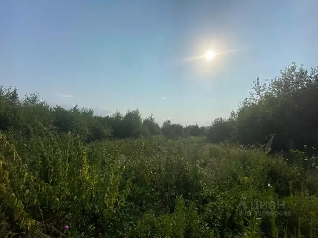 Участок в Кабардино-Балкария, Нальчик городской округ, с. Белая Речка ... - Фото 1