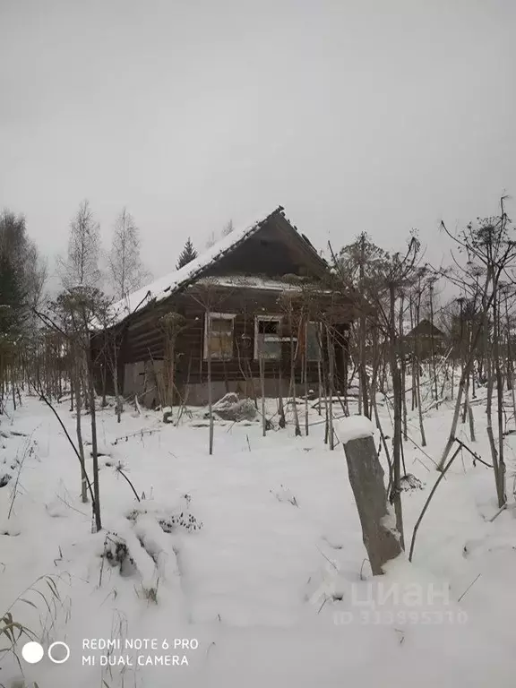 Дом в Тверская область, Максатихинский муниципальный округ, д. Жижино  ... - Фото 1