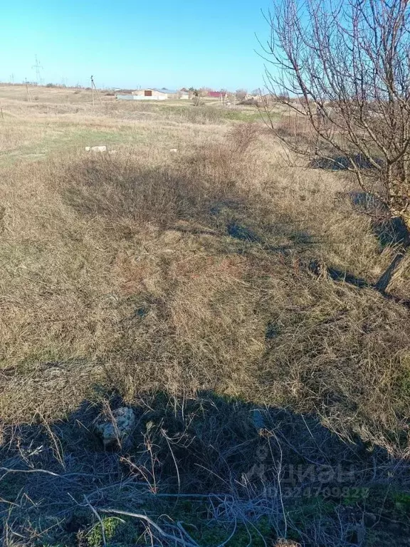 Участок в Ростовская область, Мясниковский район, Недвиговское с/пос, ... - Фото 1