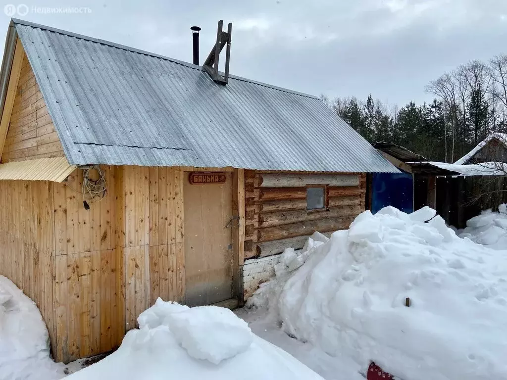 Дом в Чайковский городской округ, деревня Русалевка, Лесная улица ... - Фото 0