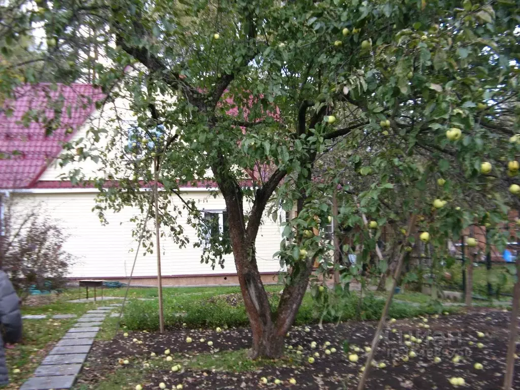 Дом в Московская область, Щелково городской округ, Загорянский пгт ул. ... - Фото 2