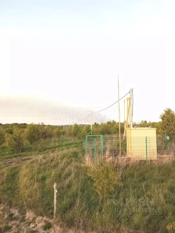 Участок в Калининградская область, Гурьевский муниципальный округ, ... - Фото 0