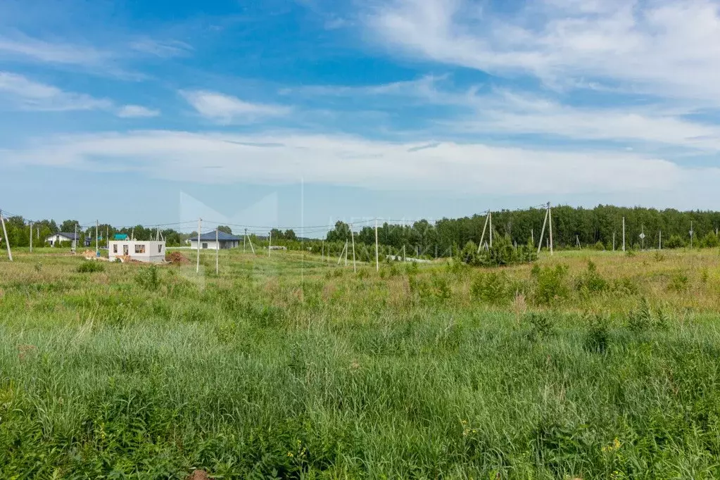 Участок в Тюменская область, Тюменский район, с. Кулига  (6.75 сот.) - Фото 1