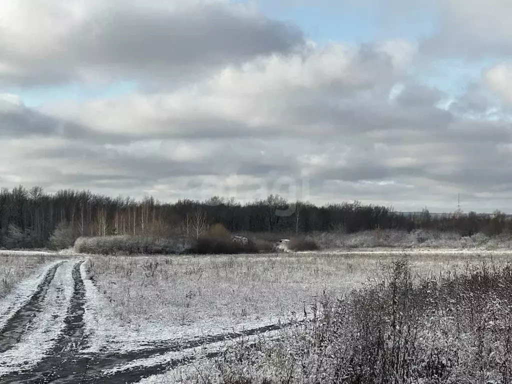 Участок в Мордовия, Лямбирский район, Берсеневское с/пос, д. Старая ... - Фото 1