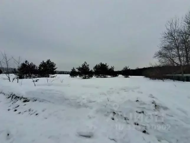 Участок в Московская область, Орехово-Зуевский городской округ, д. ... - Фото 0