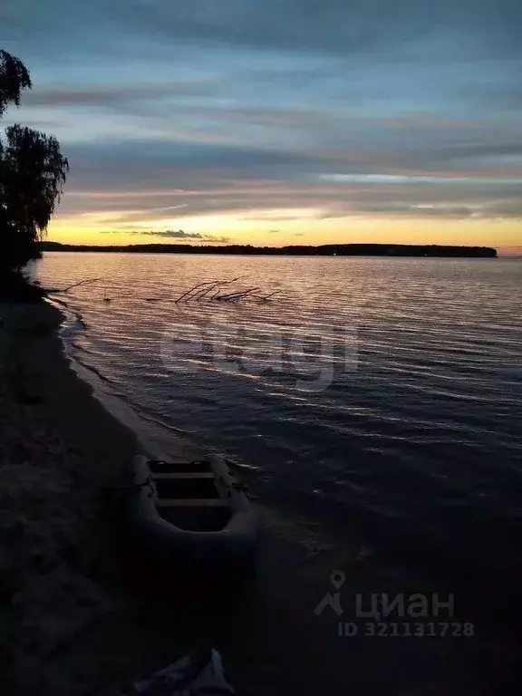Участок в Нижегородская область, Чкаловск муниципальный округ, д. ... - Фото 1
