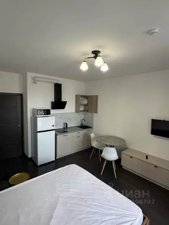 Студия Санкт-Петербург ул. Верхне-Каменская, 11к1 (27.7 м) - Фото 1
