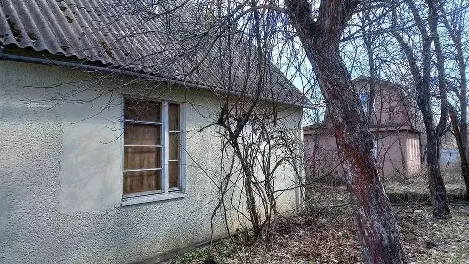 Дом в Брянская область, Брянский район, Мичуринское с/пос, Озерное СДТ ... - Фото 2