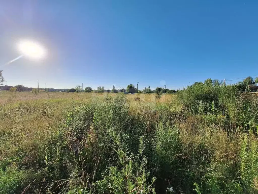 Участок в Тульская область, Тула городской округ, с. Обидимо  (12.5 ... - Фото 1