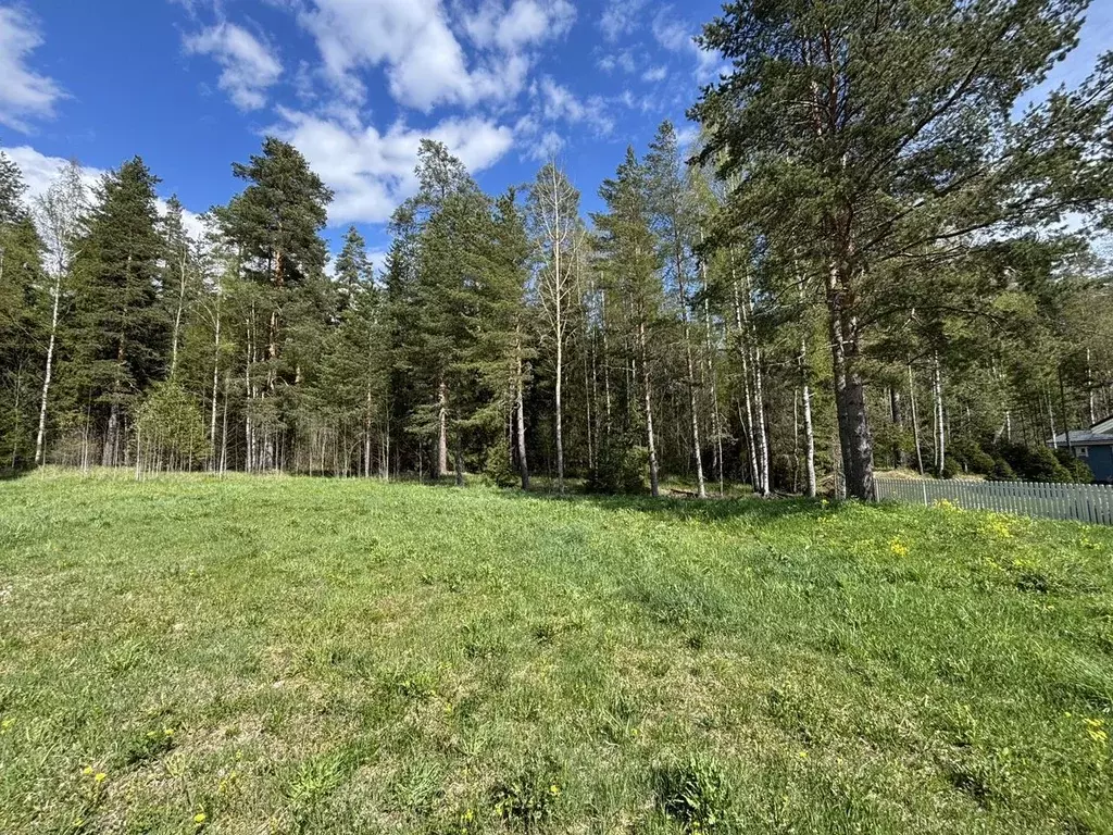 Участок в Ленинградская область, Приозерский район, Раздольевское ... - Фото 0