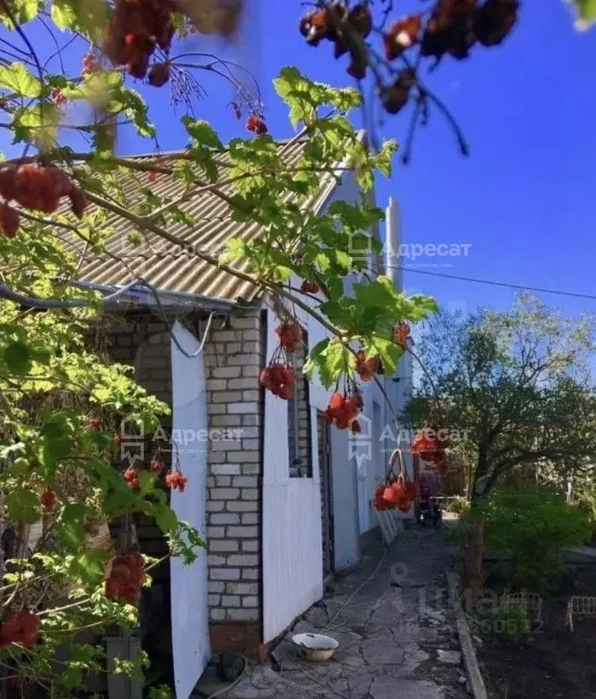 Дом в Волгоградская область, Дубовский район, Пичужинское с/пос, с. ... - Фото 2