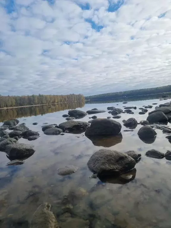 Участок в Ленинградская область, Лодейнопольский район, Янегское ... - Фото 1
