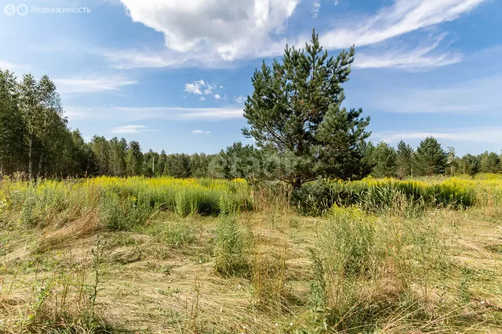 Участок в село Фирсово, Восточный проезд, 2 (10.98 м) - Фото 0