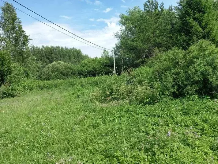 Участок в Московская область, Дмитровский муниципальный округ, с. ... - Фото 0