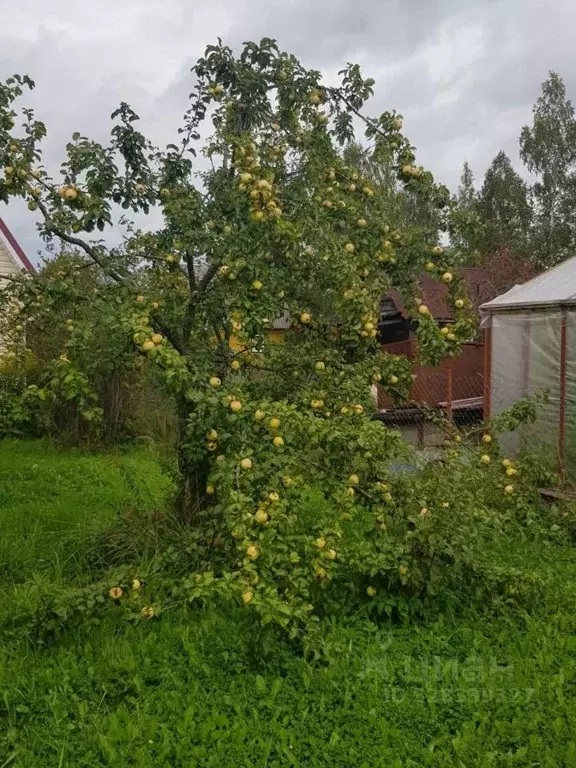 Участок в Ленинградская область, Гатчинский муниципальный округ, ... - Фото 2