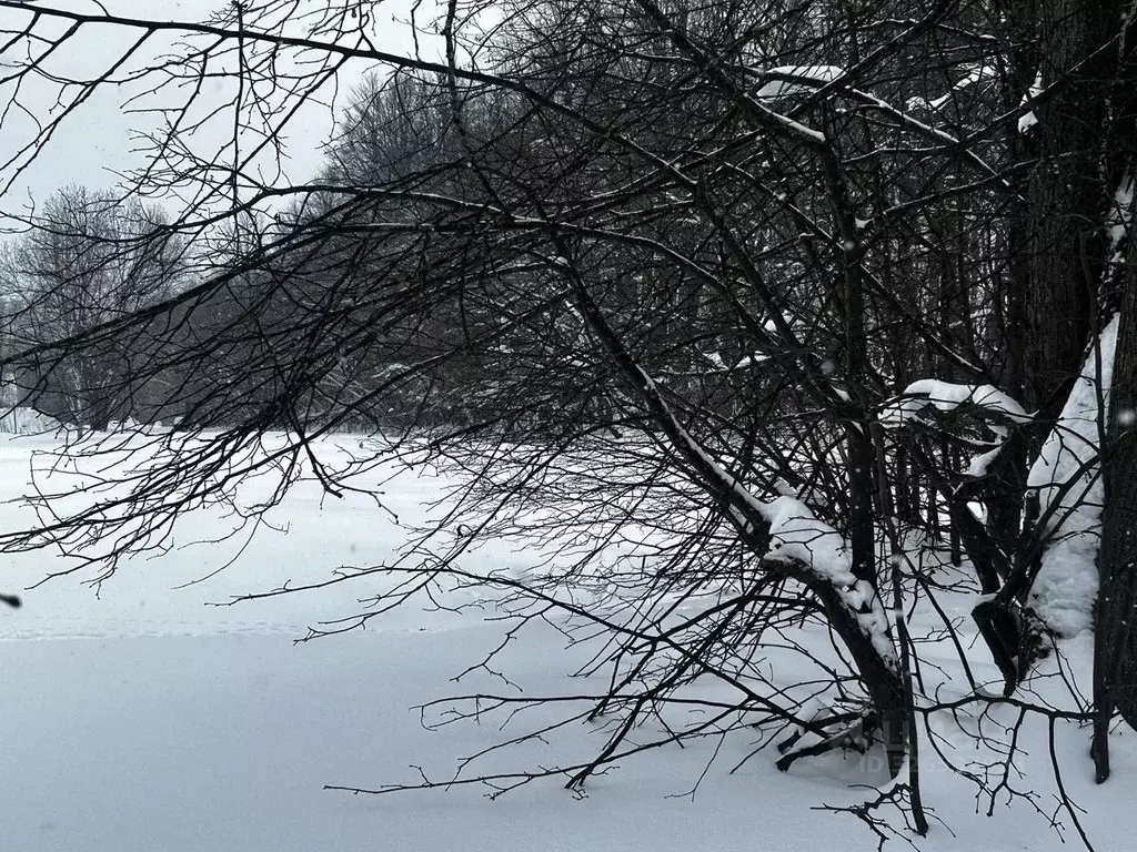 Участок в Московская область, Ступино городской округ, с. ... - Фото 1
