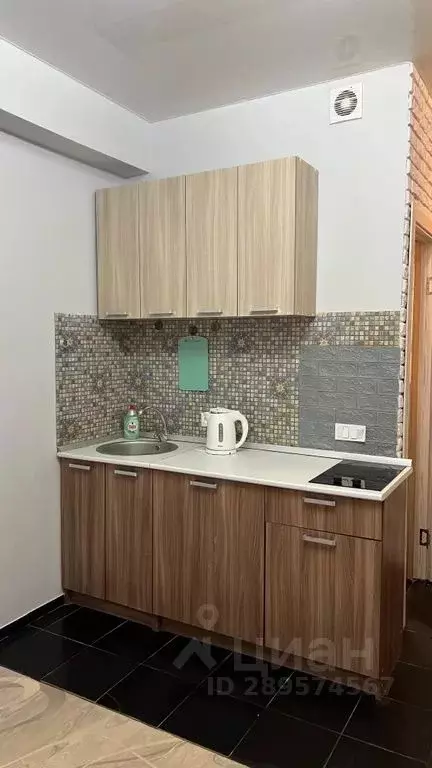 Студия Краснодарский край, Сочи ул. Ленина, 288 (25.0 м) - Фото 2