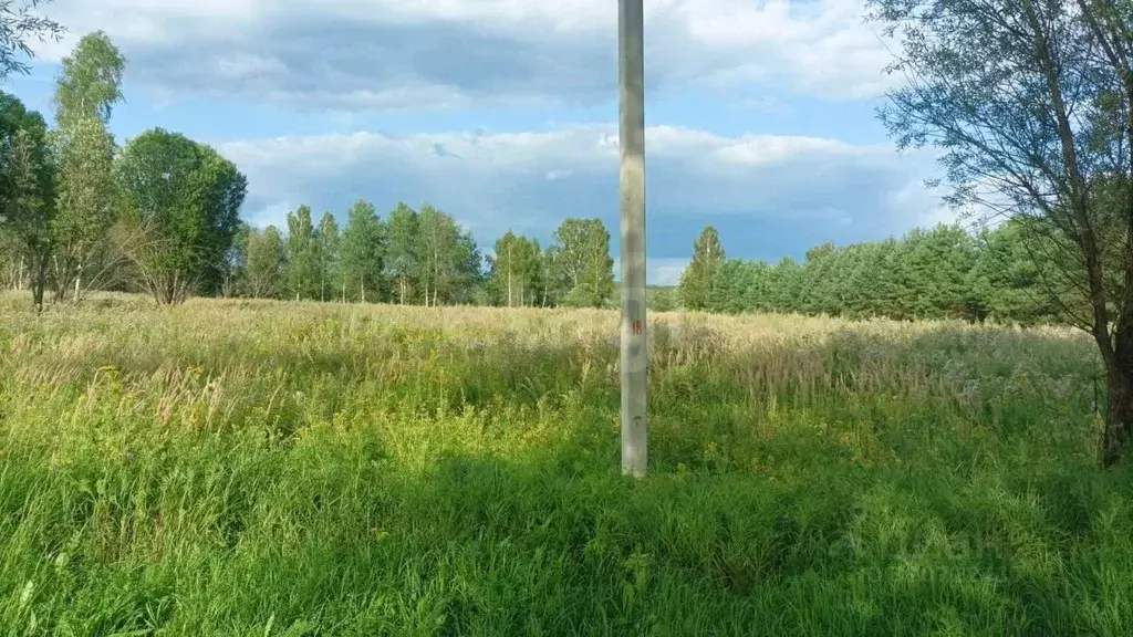 Участок в Калужская область, Мосальский район, Раменский с/пос, д. ... - Фото 1