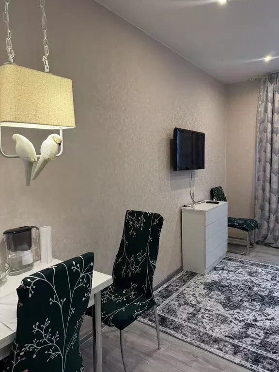 Студия Санкт-Петербург ул. Маршала Казакова, 70к1 (28.0 м) - Фото 2