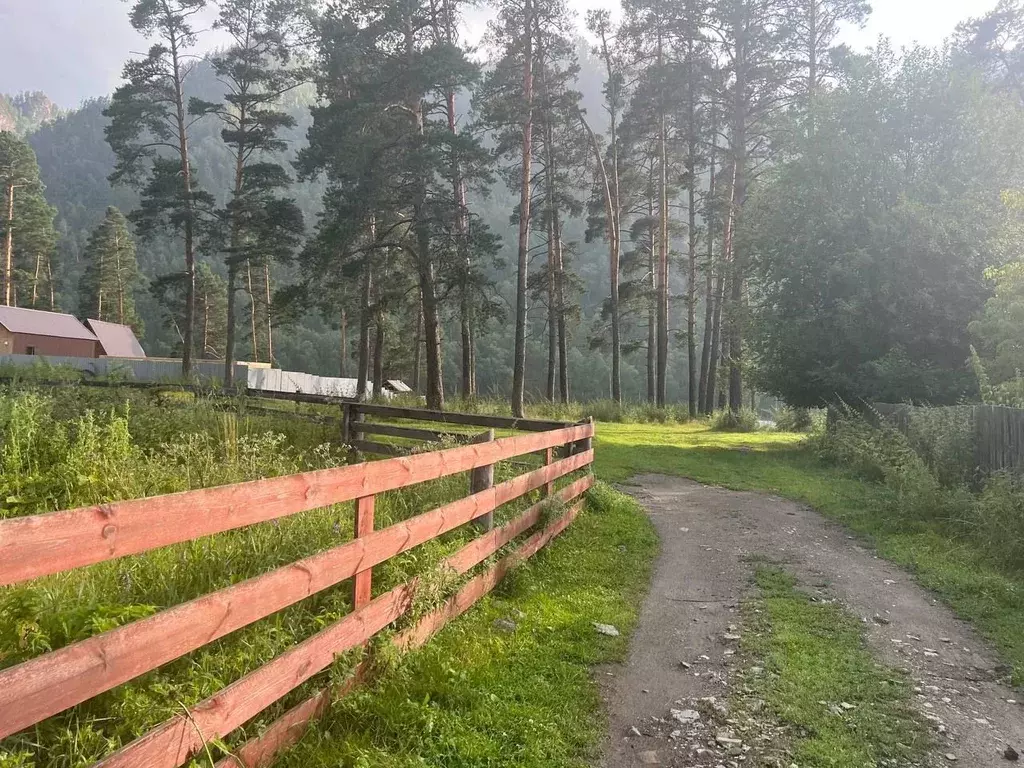 Участок в Алтай, Чемальский район, с. Чепош Родниковая ул. (14.0 сот.) - Фото 1