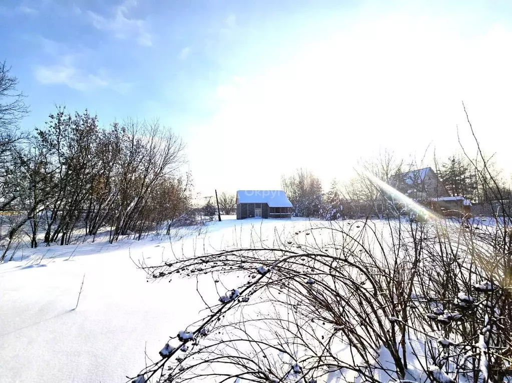 Участок в Московская область, Богородский городской округ, д. Белая ... - Фото 2