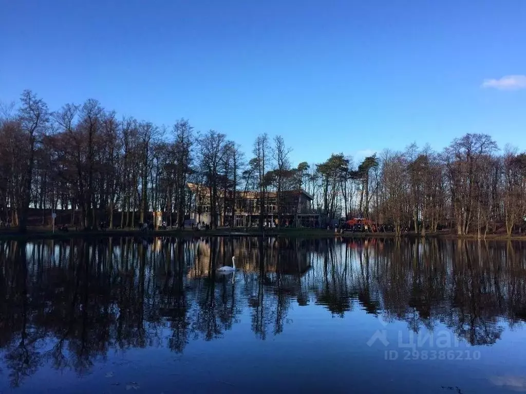 Комната Калининградская область, Зеленоградск ул. Победы, 8 (10.0 м) - Фото 0