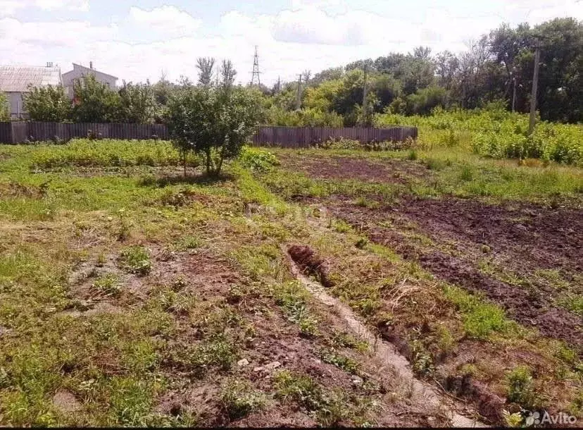 Участок в Белгородская область, Новый Оскол Центральная ул. (16.0 ... - Фото 1