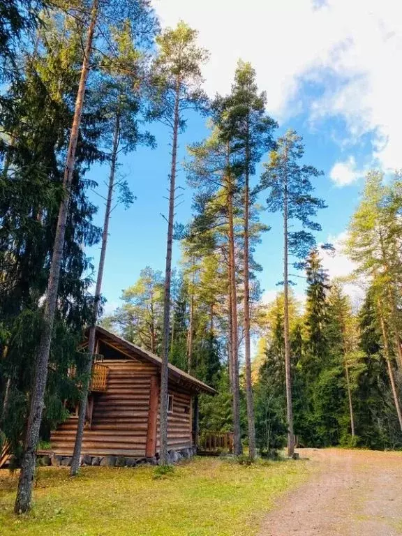 Комната Ленинградская область, Кингисеппский район, Вистинское с/пос, ... - Фото 1