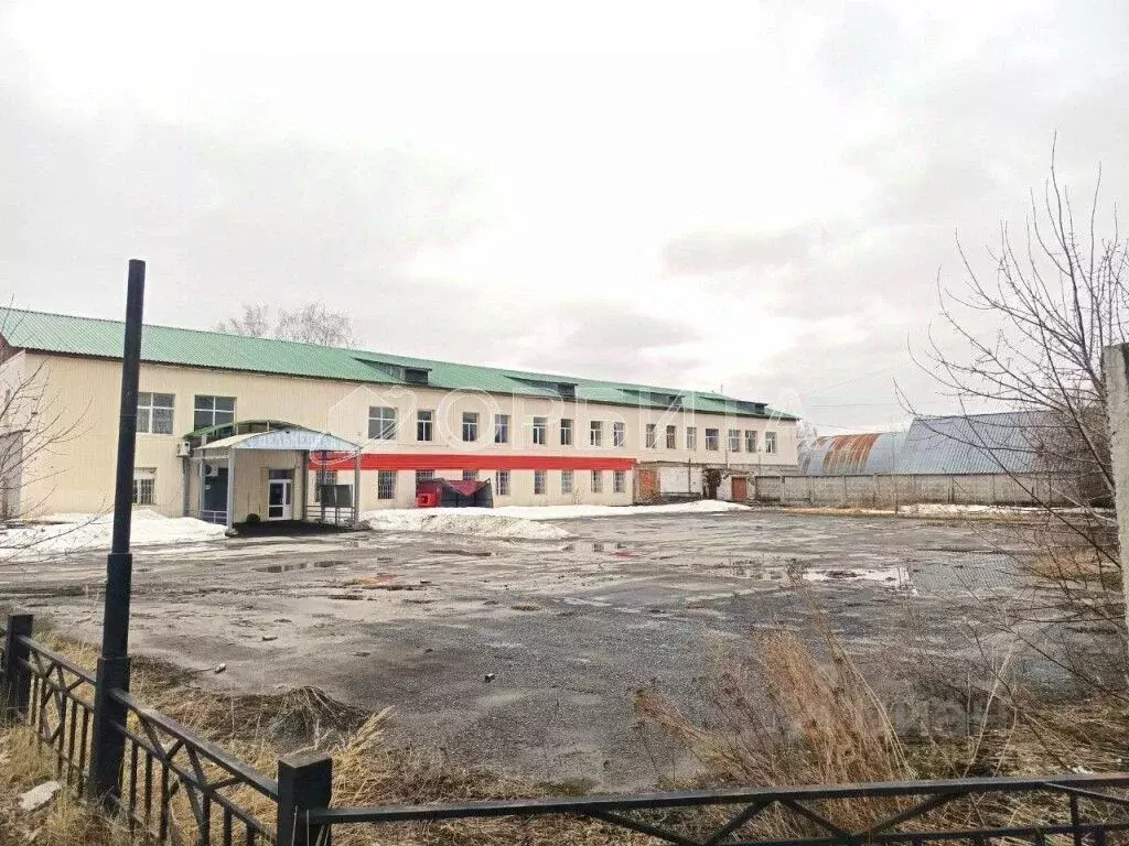 Помещение свободного назначения в Тюменская область, Тобольск ул. ... - Фото 0