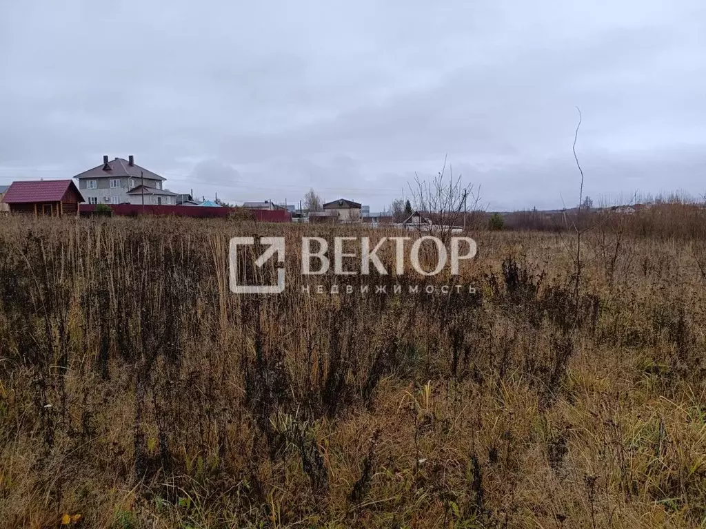 Участок в Костромская область, Костромской район, Никольское с/пос, ... - Фото 2