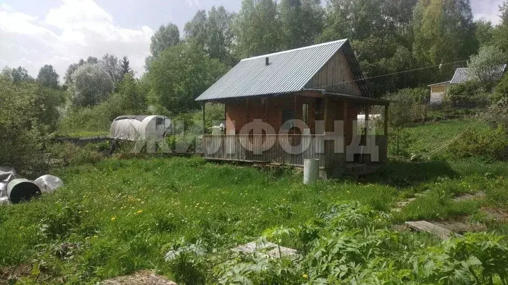 Участок в Новосибирская область, Искитимский район, пос. ... - Фото 1