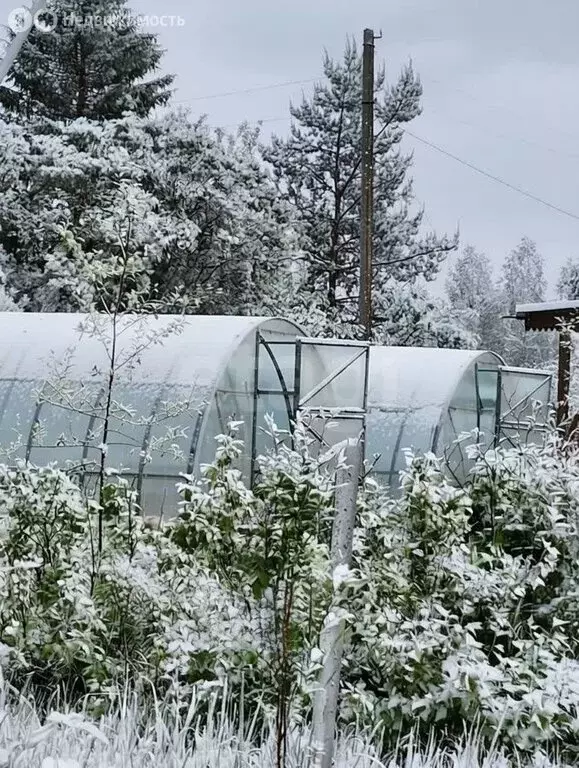 Дом в Тверская область, Калининский муниципальный округ, СНТ ... - Фото 1