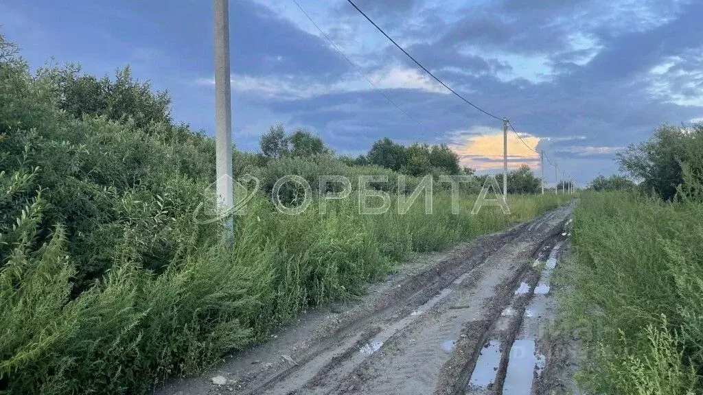 Участок в Тюменская область, Тюмень Большое Царево-1 ТСН,  (9.92 сот.) - Фото 0