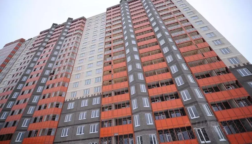 1-к кв. Ленинградская область, Мурино Всеволожский район, ул. Шоссе в ... - Фото 2