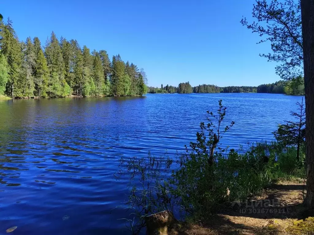 Коттедж в Ленинградская область, Выборгский район, Рощинское городское ... - Фото 0