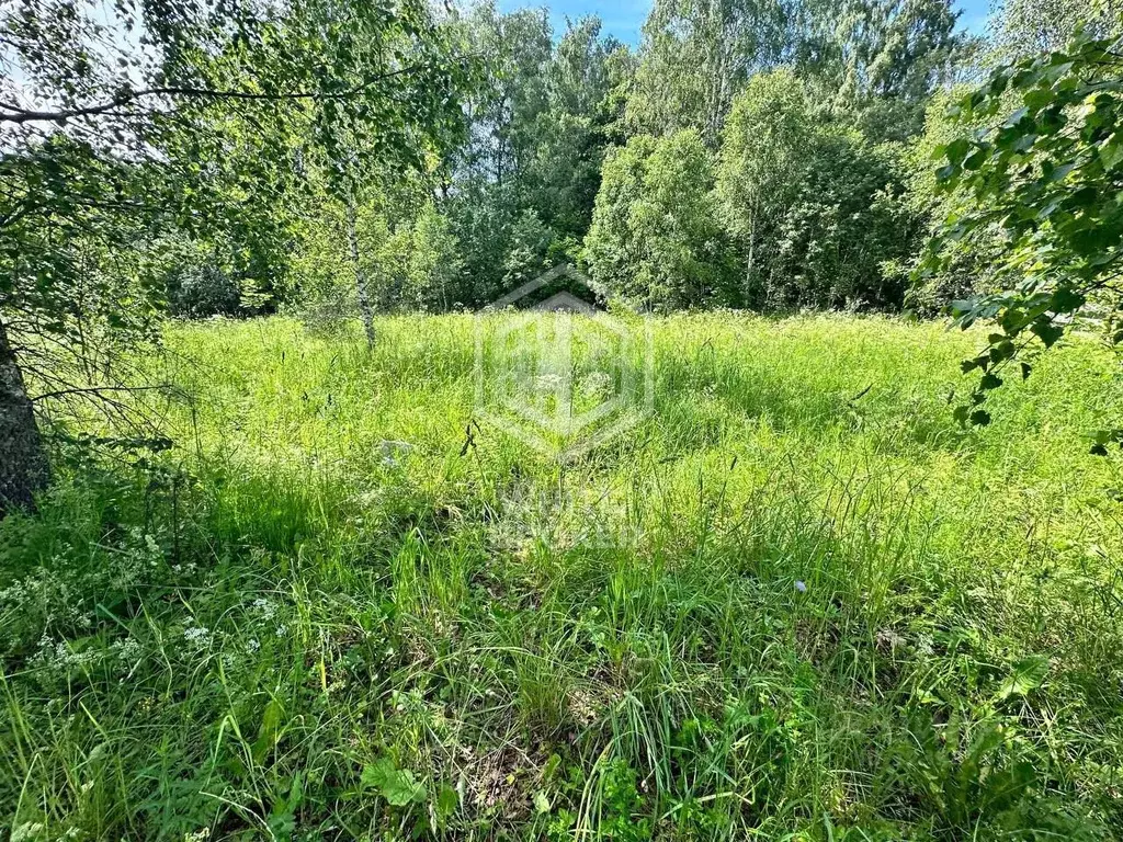 Участок в Московская область, Можайский муниципальный округ, Энергия ... - Фото 1
